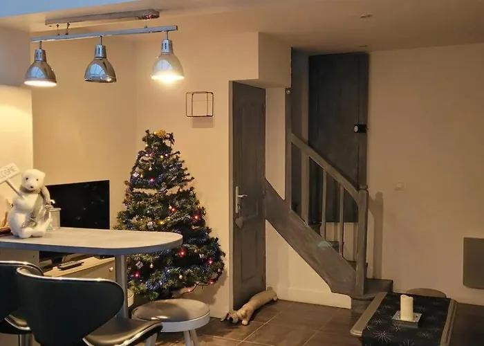 Duplex Cosy A Quelles Minutes A Pied Du Centre Apartment *